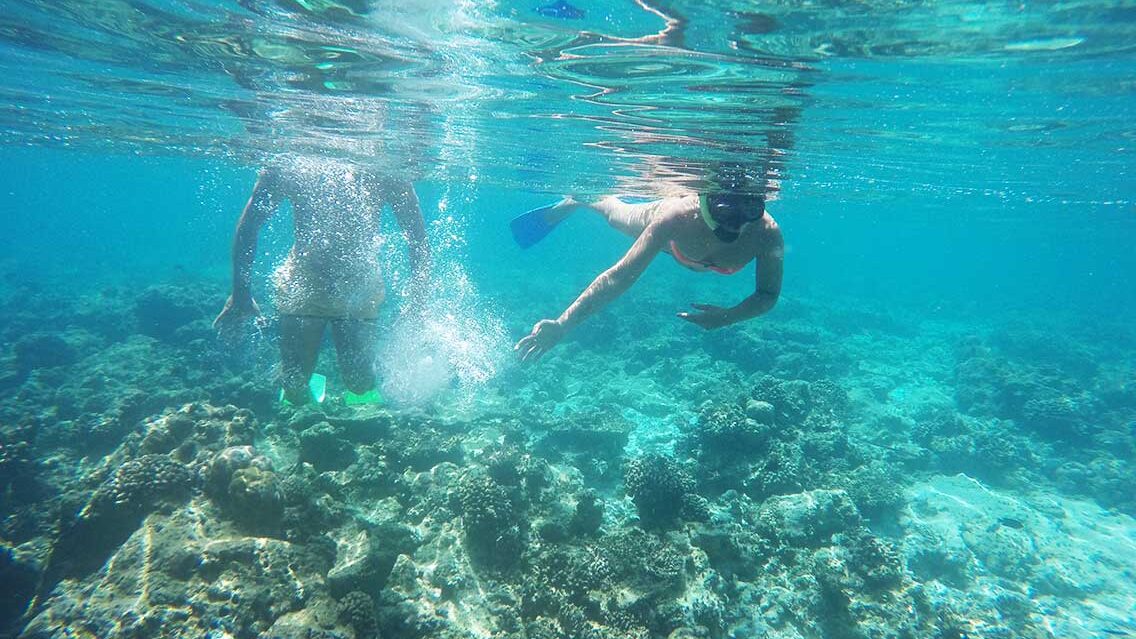 Snorkel en Las Maldivas