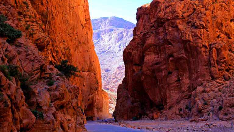 Valle del Dades y Gargantas del Todra