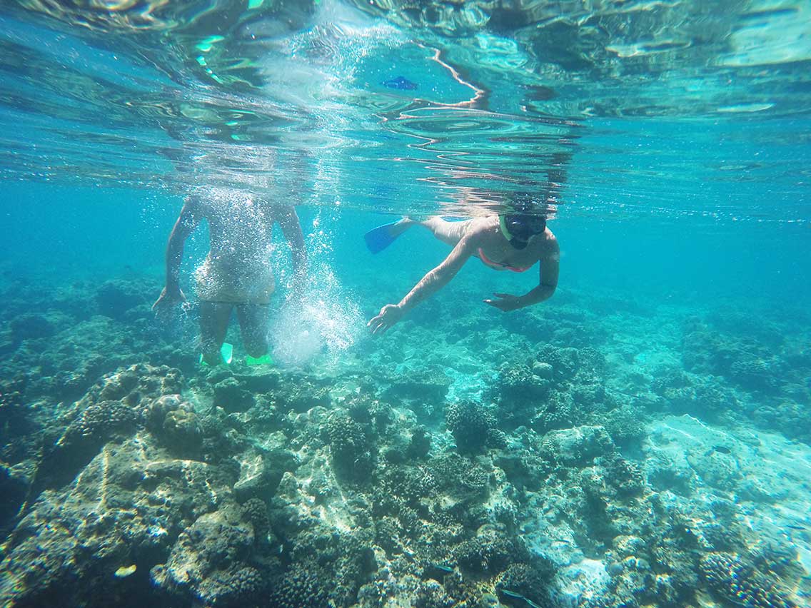 Snorkeling por Las Maldivas