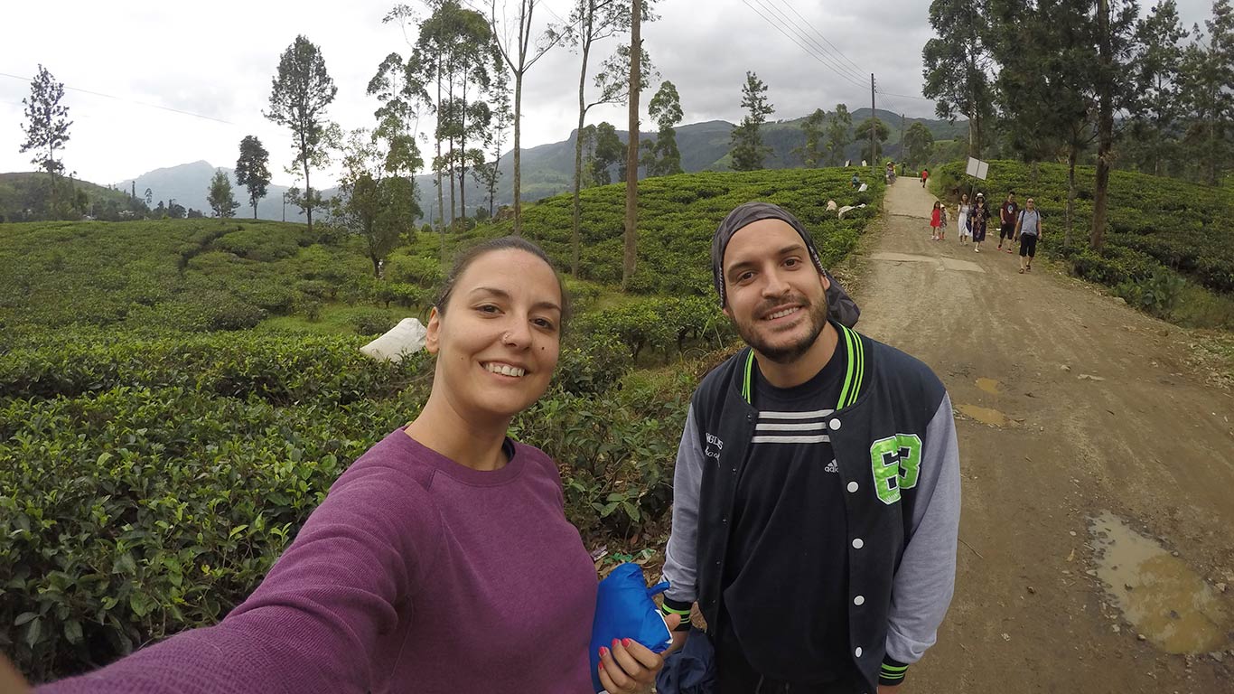 Plantaciones de té Bluefield en Newara Eliya