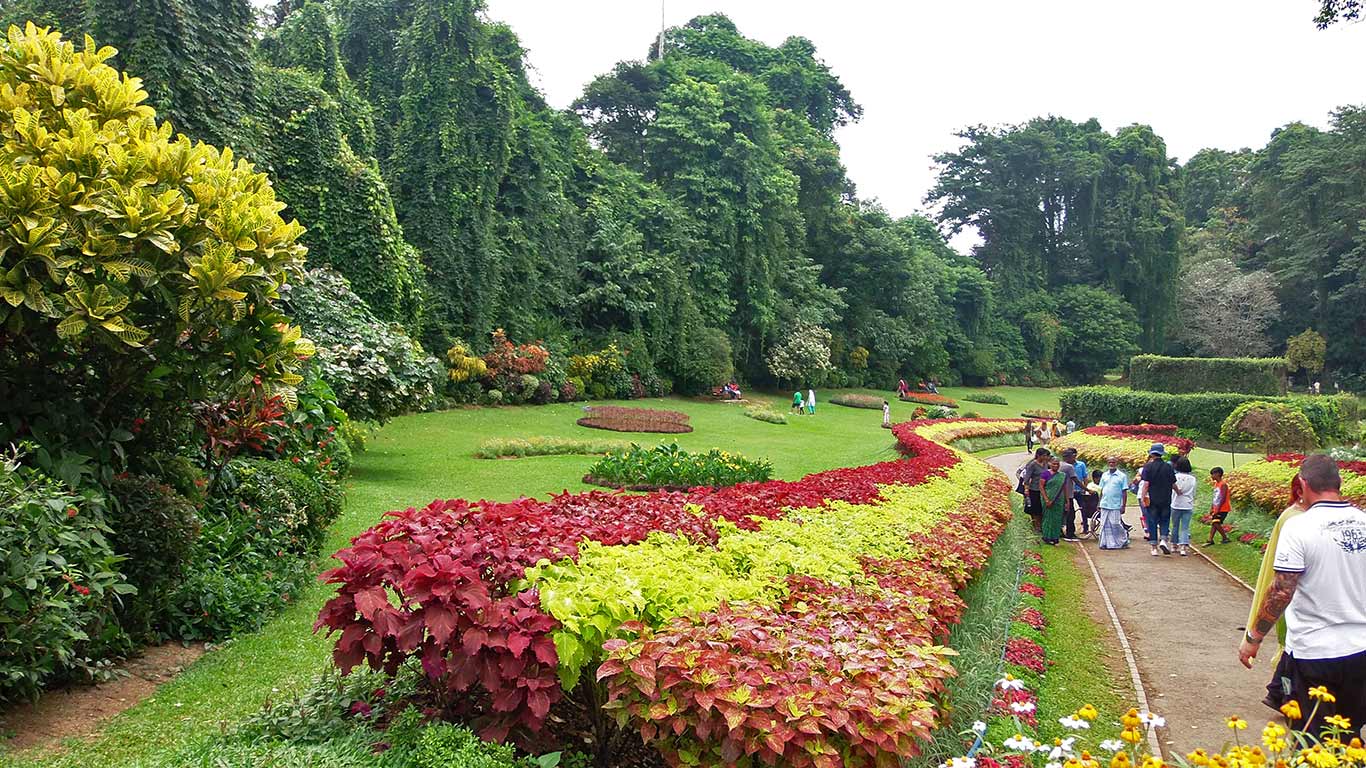 Real Jardín Botánico de Peradeniya