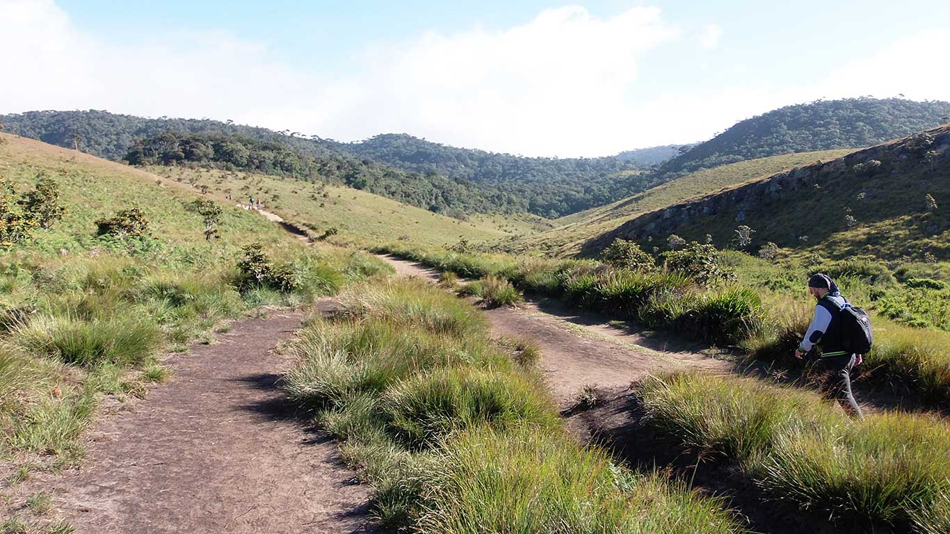 Camino a las cascadas