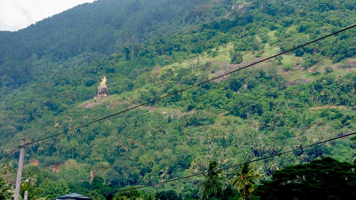 Disfrutando del paisaje hacia Kandy