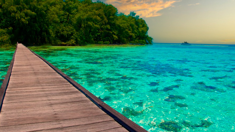 Descubre algunas de las islas de Thousand Islands​