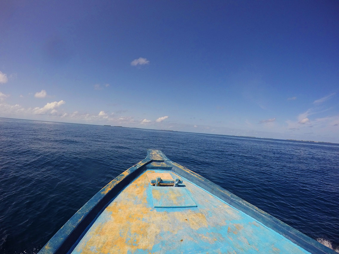 Pesca en barco​