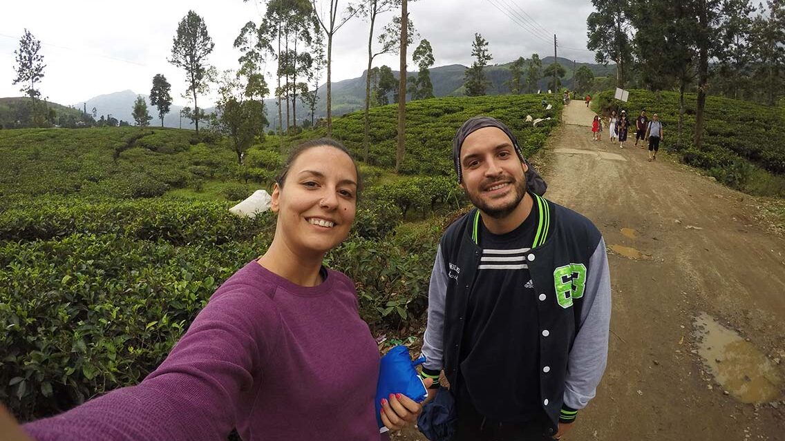 Plantaciones de té Bluefield en Newara Eliya