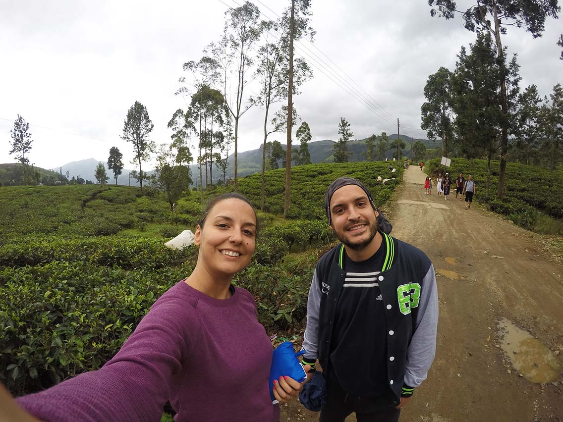 Plantaciones de té Bluefield en Newara Eliya