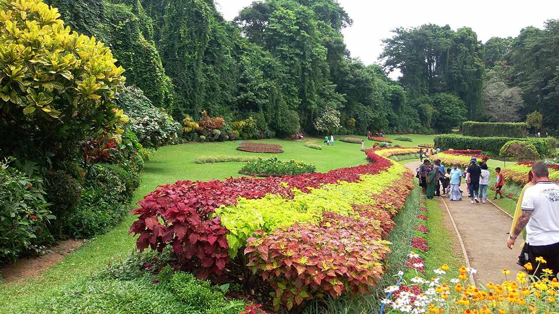 Real Jardín Botánico de Peradeniya