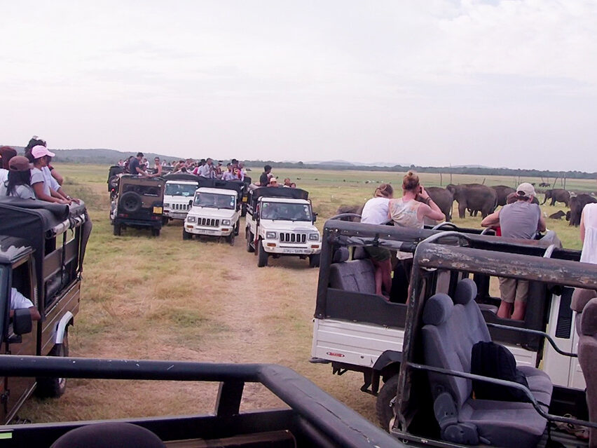 Demasiada masificación en el Kaudulla National Park