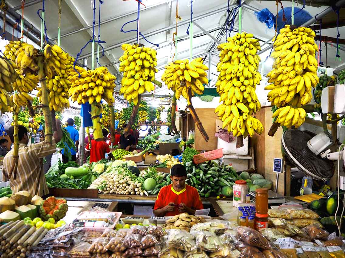 Mercado Local y Mercado del Pescado​