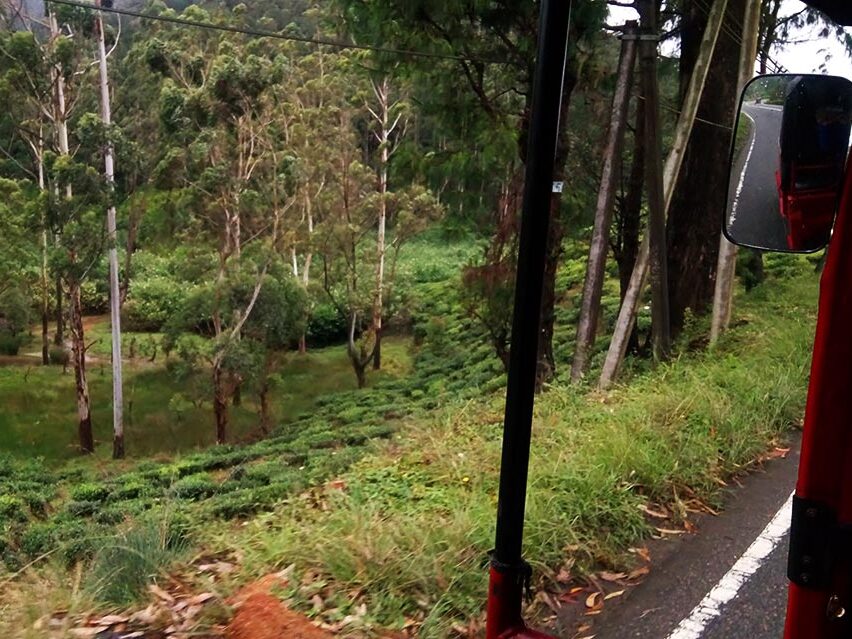 Paisajes infinitos en la ruta por Sri Lanka