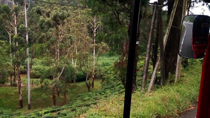 Paisajes infinitos en la ruta por Sri Lanka