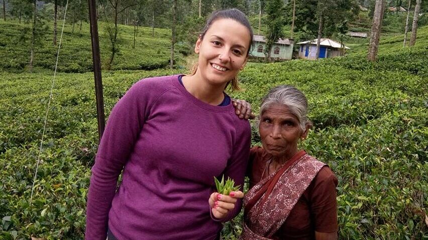 Plantaciones de té Bluefield en Newara Eliya