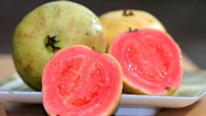 Guayaba