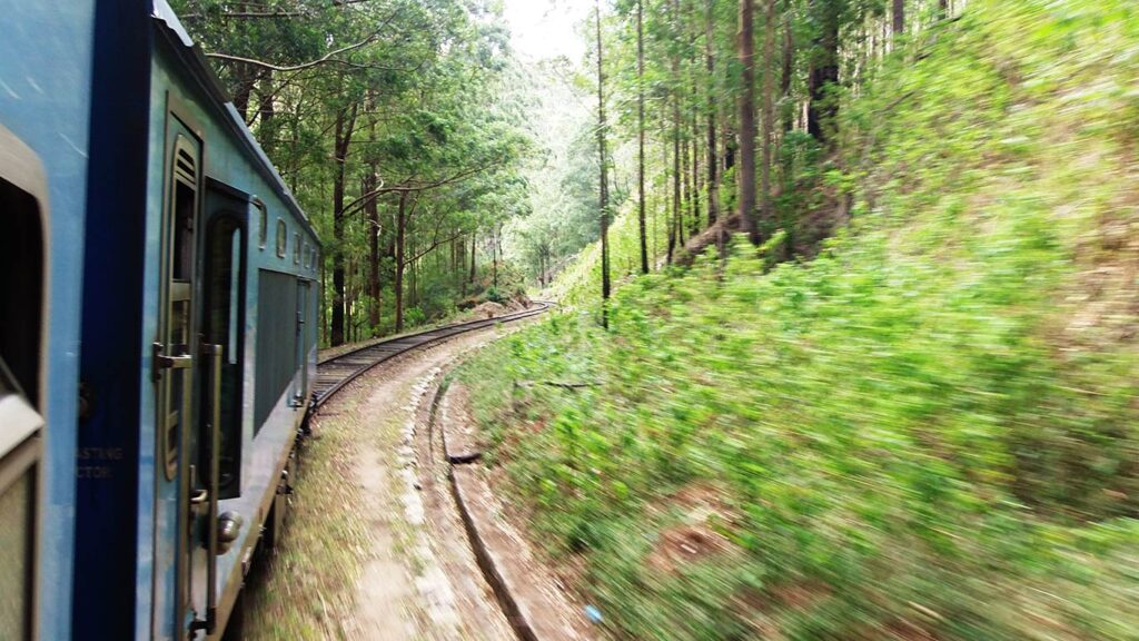 Tren atravesando un bosque en las tierras altas de Sri Lanka.