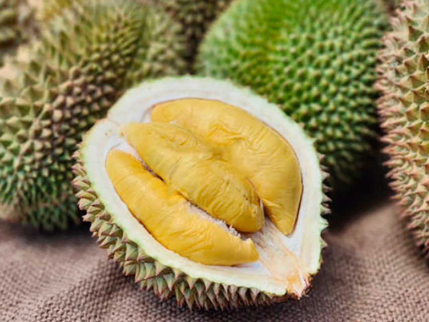 Durian