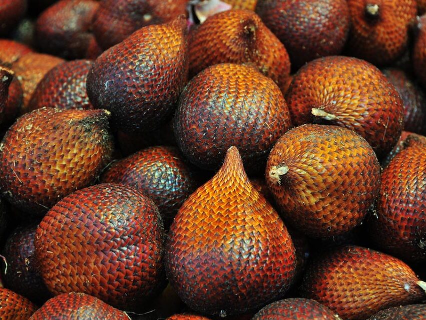 Salak