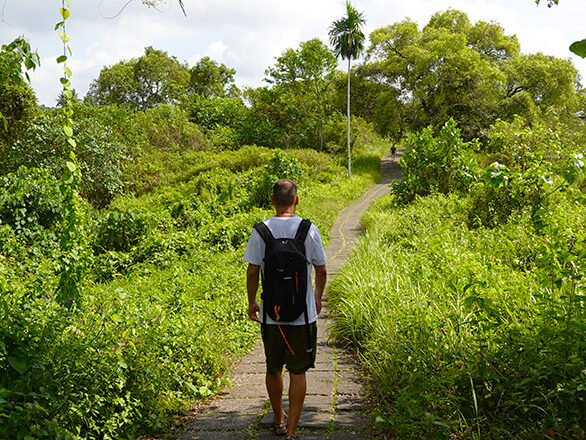 Ruta de senderismo en Bukit Campuhan