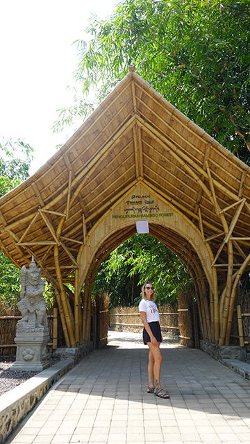 Bosque Hutan Bambú