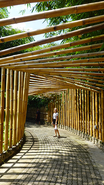 Bosque Hutan Bambú