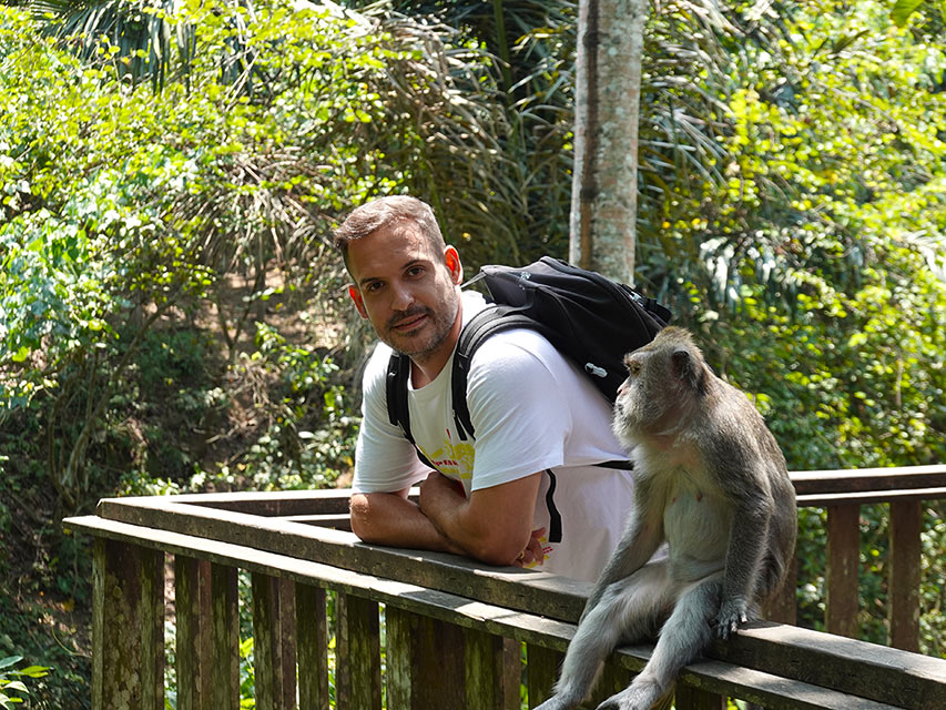 Monkey Forest