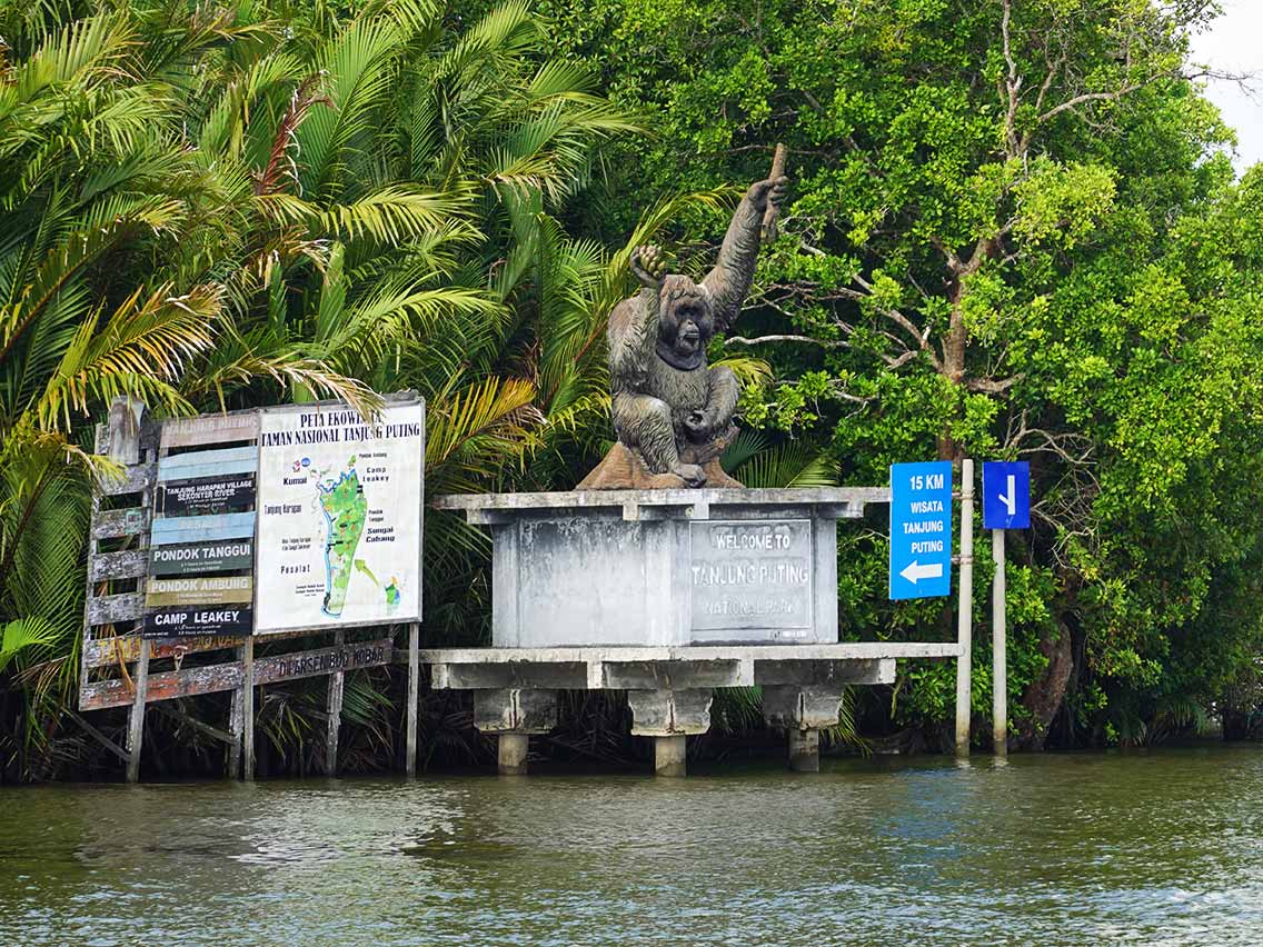 Excursión a Borneo