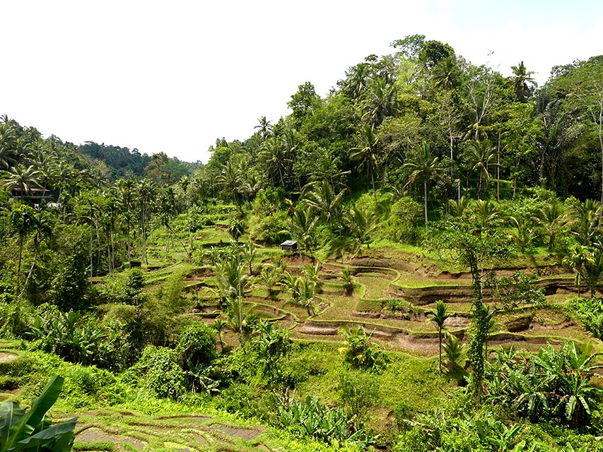 Visita Indonesia cualquier época del año