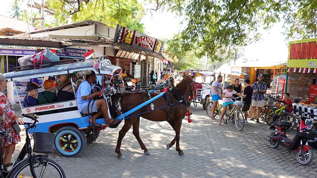 Coche de caballos​