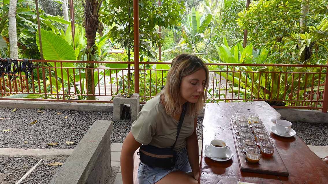 Agroturismo Jambe Asri - Probar el café Kopi Luwak