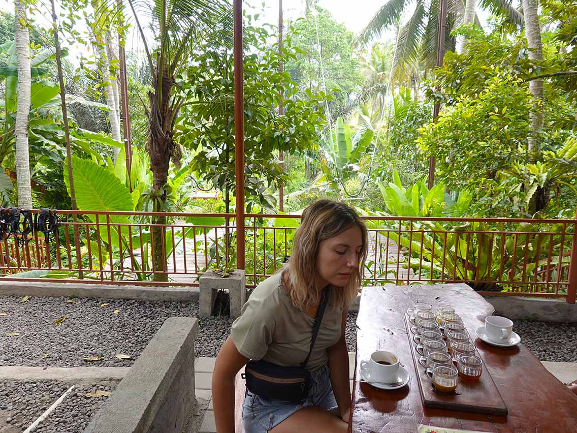 Agroturismo Jambe Asri - Probar el café Kopi Luwak