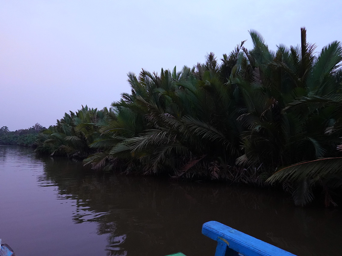 Navegando por el río