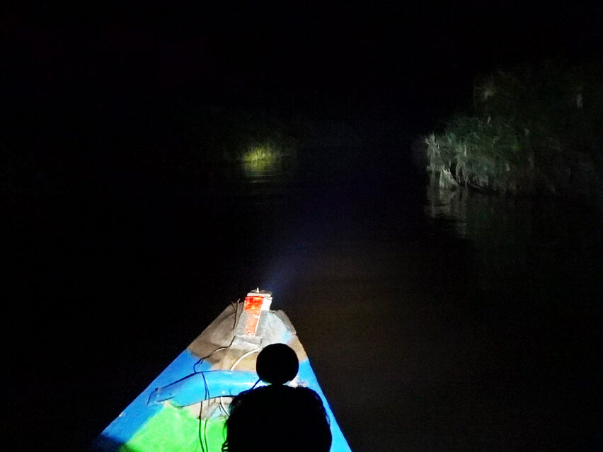 Navegando de noche por el río