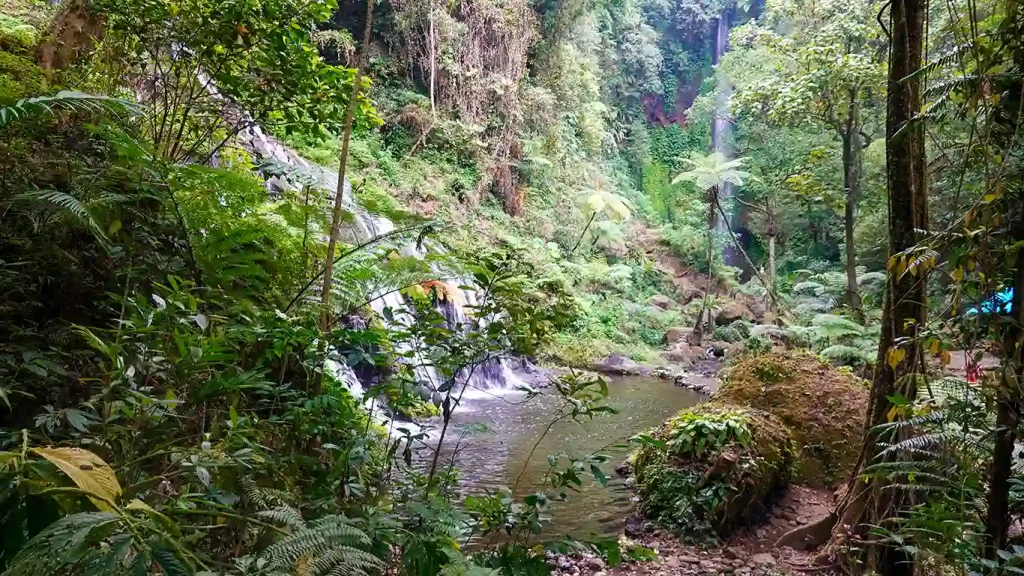 Salto de agua de la Pucak Manik Waterfall rodeada de vegetación en el norte de Bali.