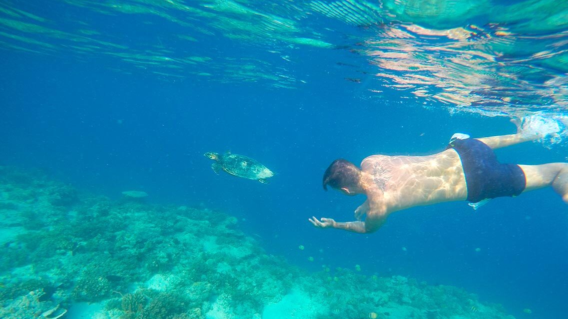 Tour de snorkel y visitar otras islas​