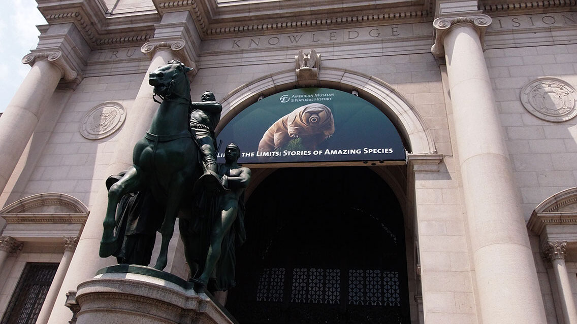 Museo de Historia Natural