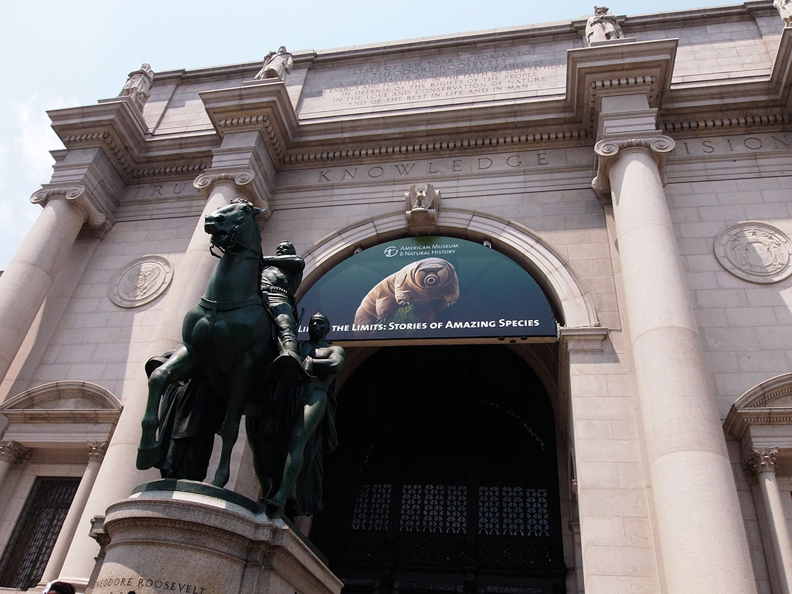 Museo de Historia Natural