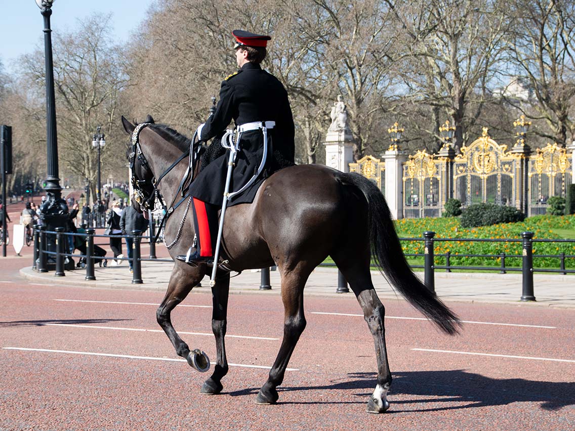 Cambio de guardia