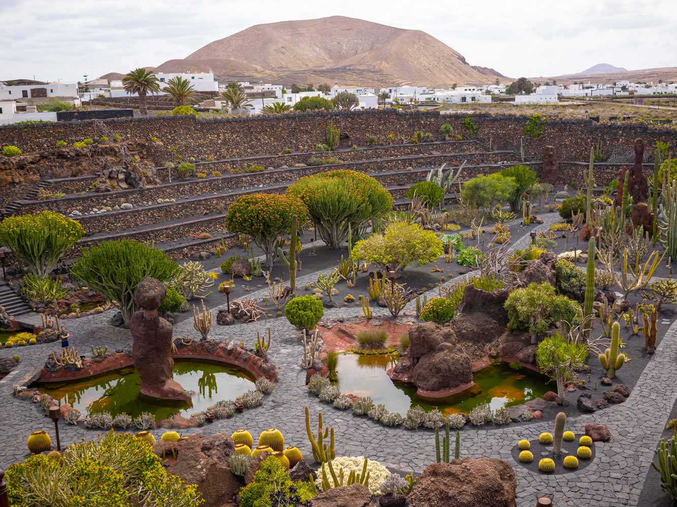 Jardín del Cactus