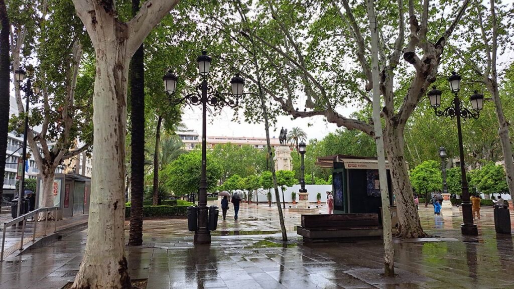 Recorre la ciudad en un Free Tour