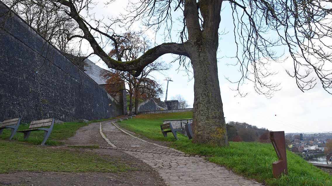 Camino de subida a la ciudadela