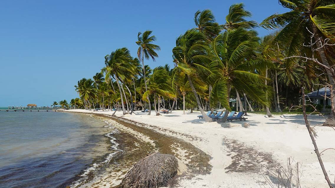 Isla Morada Los Cayos