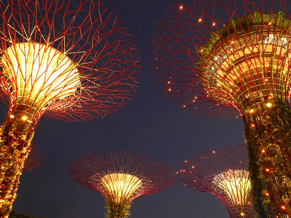 Espectáculo en Gardens By the Bay