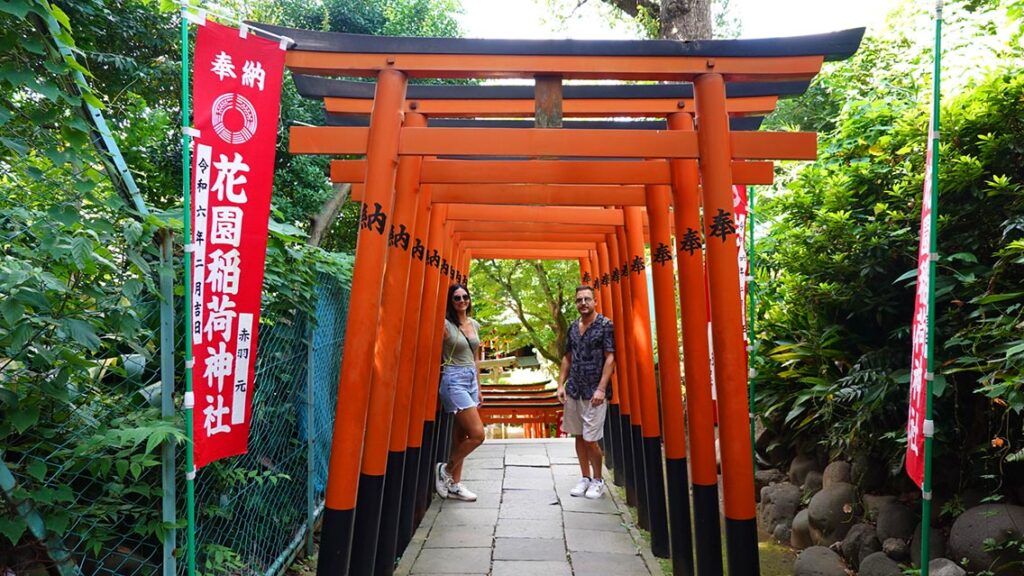 Varios Torii en un parque de Tokio