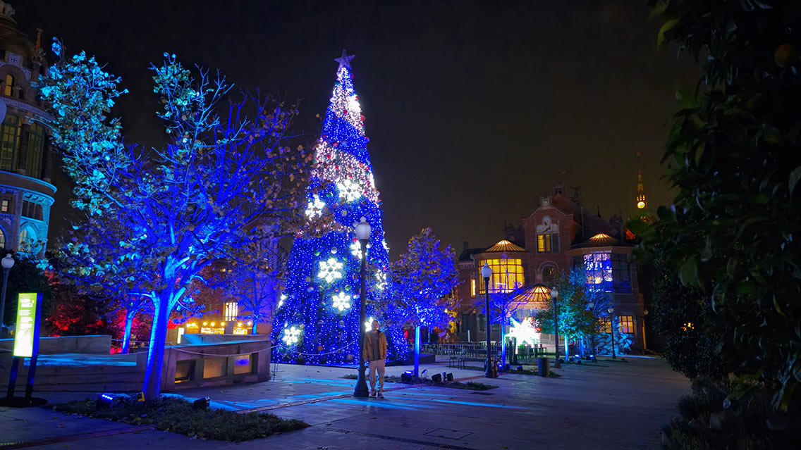 Su árbol de 20 metros de altura.