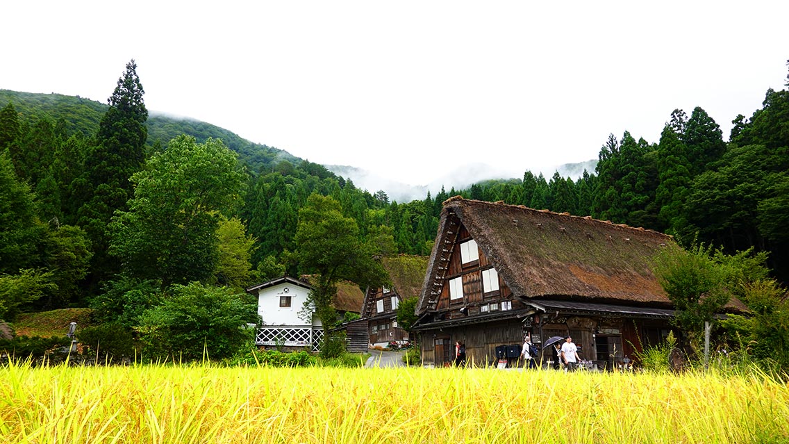 Shirakawago