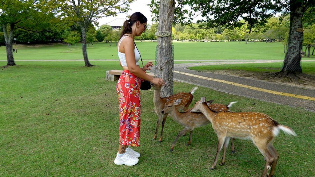 Noelia rodeada de ciervos en el Parque de Nara.