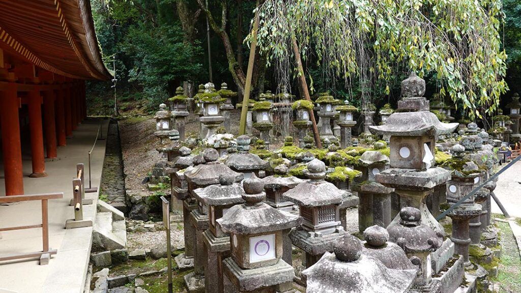 Farolillos de piedra del Santuario Kasuga Taisha.