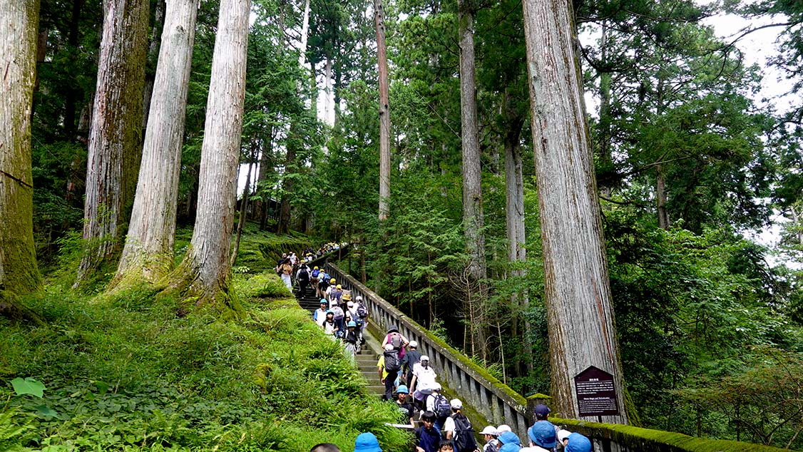 Escaleras de acceso al santuario Toshogu