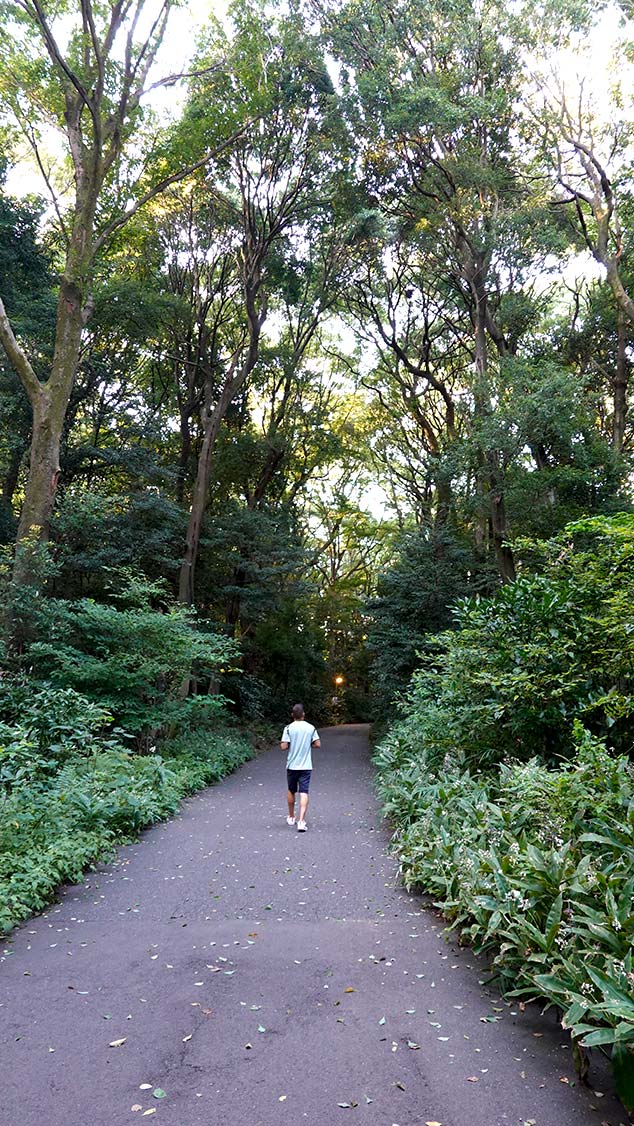 Caminando por el Parque Yoyogi