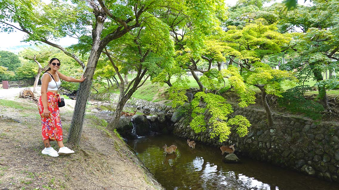 Parque Nara